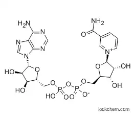β-NAD CAS 53-84-9 Nicotinamide adenine dinucleotide)