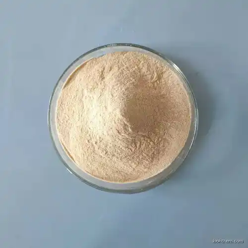 Food Additive Yeast Extract Enzyme  CAS 8013-01-2