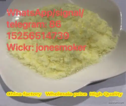 Top supplier amphotericin B cas 1397-89-3 shipped secure line