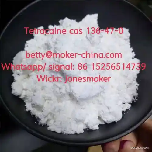 Chinese top supplier tetracaine cas 136-47-0 with low price