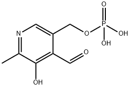 Pyridoxal phosphate  CAS 54-47-7