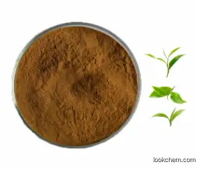 Natural Green Tea Extract Tea polyphenol powder cas:84650-60-2