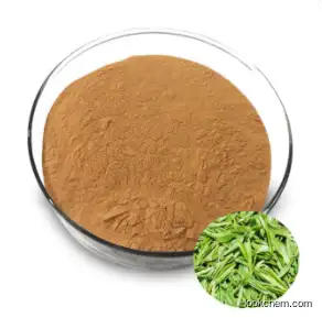 Hot sell Green Tea Extract 98% Tea polyphenol supplier for health care