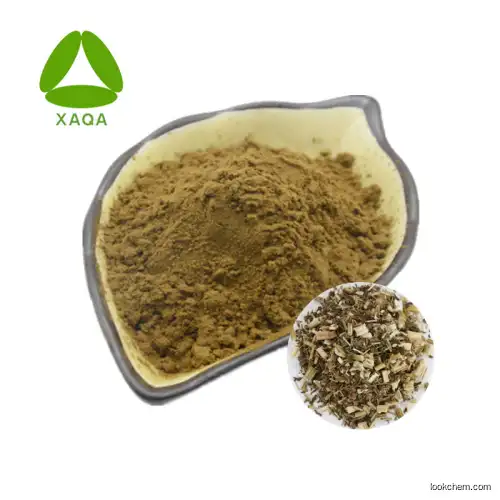 Full Stock Motherwort Herb Extract /Stachydrine Powder 30:1