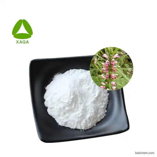 Hot Sale 100% Natural Motherwort Herb Extract/Motherwort Extract Stachydrine Hydrochloride Powder 98%