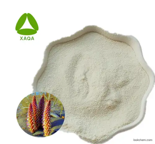 China Factory Supply 50% Verbascoside/Acteoside/Ergosteride Powder From Cistanche Extract
