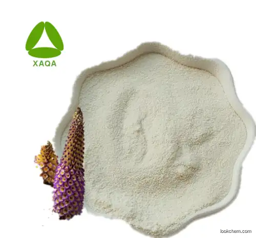 China Factory Supply 50% Verbascoside/Acteoside/Ergosteride Powder From Cistanche Extract
