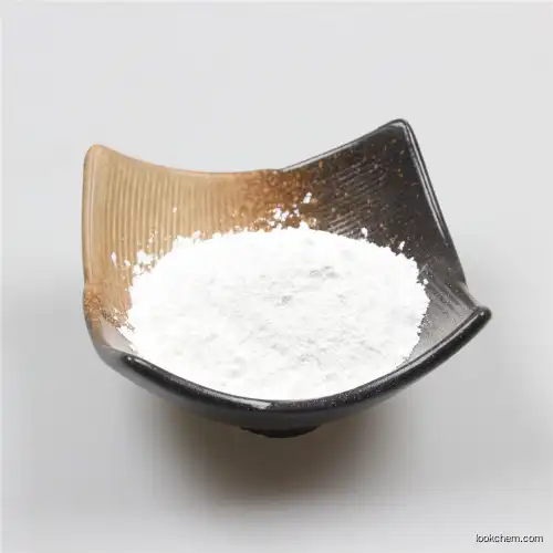 China top quality whie titanium dioxide CAS No.13463-67-7