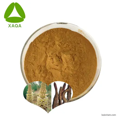 Factory Supply 100% Cistanche Deserticola Extract Powder 50:1