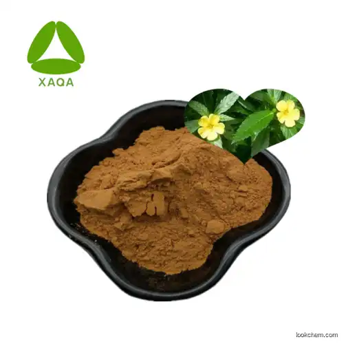 Herbal Extract 100:1 Damina Herb Leaf Extract Powder
