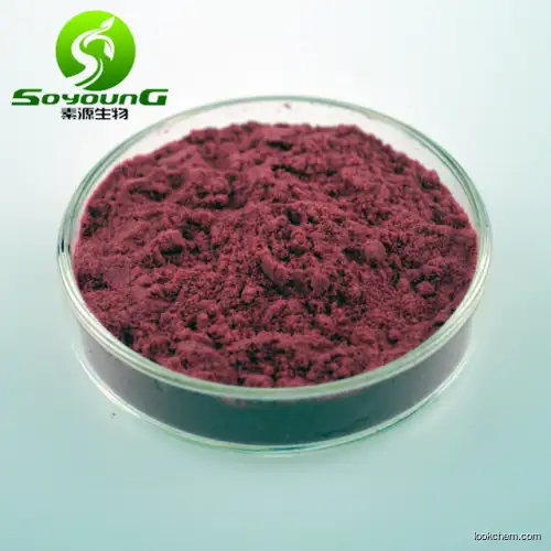 Red Clover Extract 8% Flavonoids