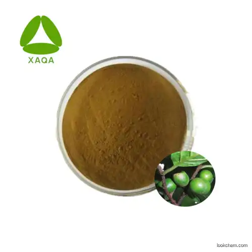 Natural Pygeum Africanum Bark Extract Powder 10:1