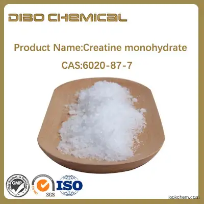 Creatine monohydrate/cas:6020-87-7/high-quality
