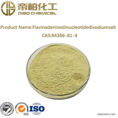 Flavinadeninedinucleotidedisodiumsalt/cas:84366-81-4/high-quality