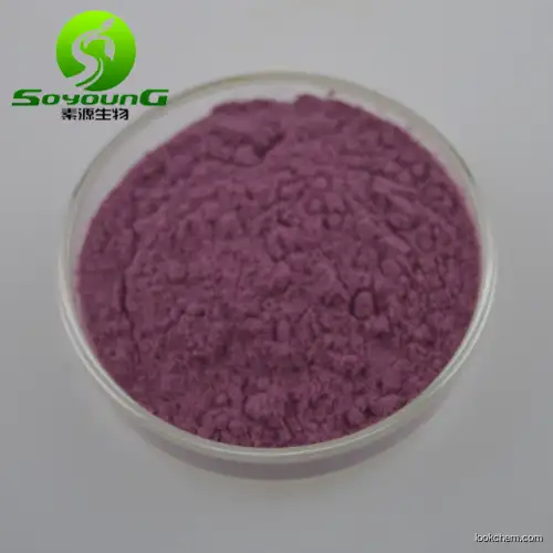 Natural Grape seed extract 90% Polyphenols