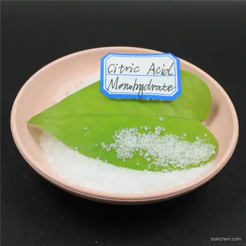 citric acid 99.6% min/citric acid anhydrous powder/citric acid anhydrate e330