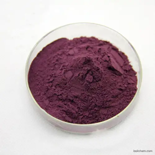 Blueberry extract/cas:84082-34-8/Blueberry extract material