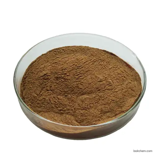 Ginkgo Biloba Extract/cas:90045-36-6/Ginkgo Biloba Extract material/high-quality