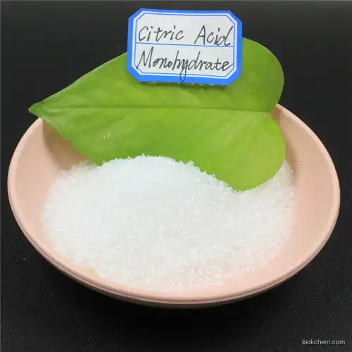 Food grade Citric Acid MONO CAS 77-92-9 bulk Citric acid powder