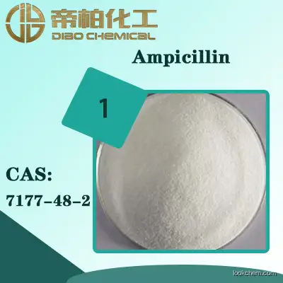 Ampicillin material/CAS:7177-48-2/Chinese suppliers