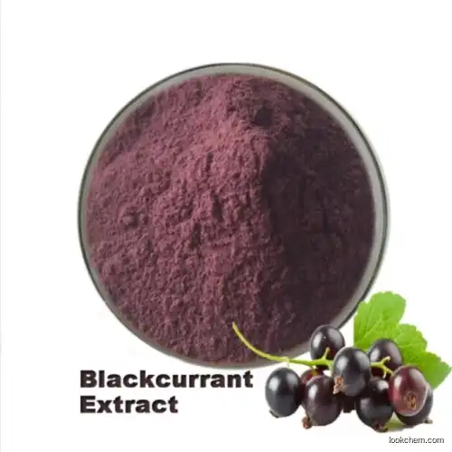 Halal Certified 100% Natural Ribes Nigrum Black Currant Extract