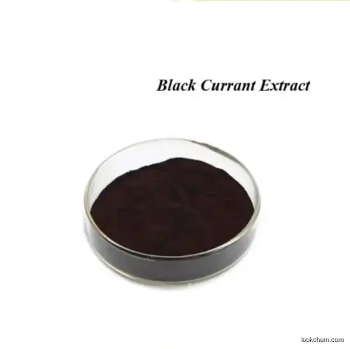 Halal Certified 100% Natural Ribes Nigrum Black Currant Extract