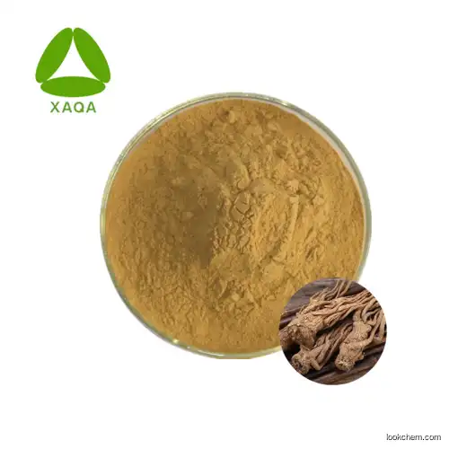 OEM Factory Angelicae(DangQuai) Root Extract Powder 20:1