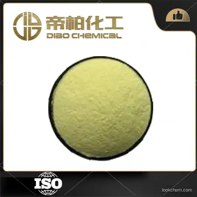 Tetrahydropalmatine CAS：2934-97-6 High quality Light yellow powder