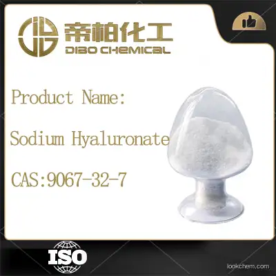 Sodium Hyaluronate/cas no:9067-32-7/China manufacturer/high-quality