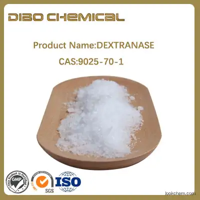 DEXTRANASE /cas:9025-70-1 /high quality/DEXTRANASE  material