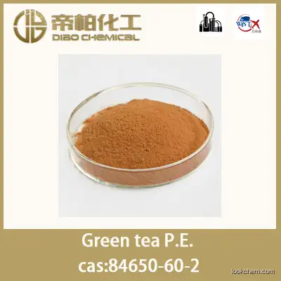 Green tea P.E. /CAS ：84650-60-2/raw material/high-quality