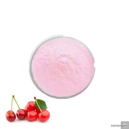 100% Natural Fruit Powders with Good Flavour Acerola Cherry Fruit Extract Powder