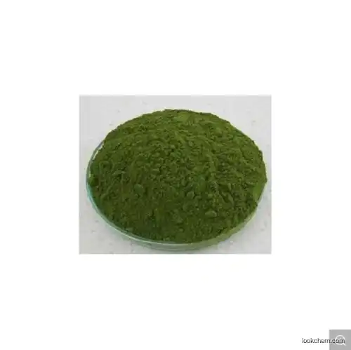 Natural Health Care Barley Grass Juice Powder Barley Grass Powder