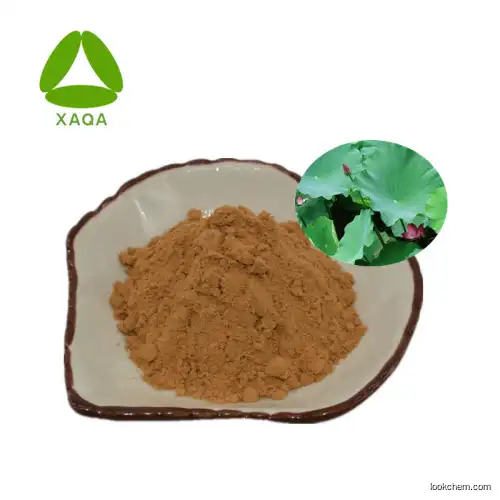 Samples Available 4% Nuciferine Powder From Lotus Leaf Extract