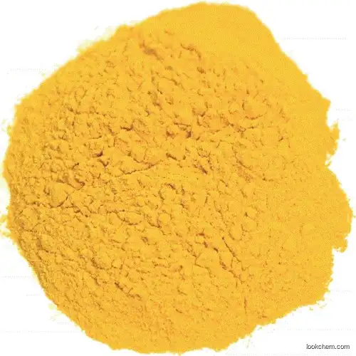 100% Nature High Quality Food Ingredient/Food Additive Dehydrated Pumpkin Powder