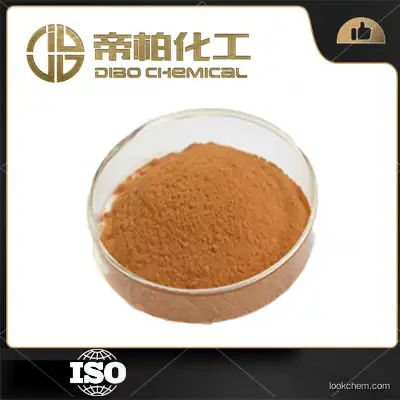 Ginkgo Biloba Extract CAS：90045-36-6 Chinese manufacturers high-quality