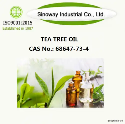 High purity 99% factory price in stock Tea tree oil