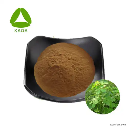 Full-size Cassia Seed Extract Powder 10:1 20:1 30:1 50:1