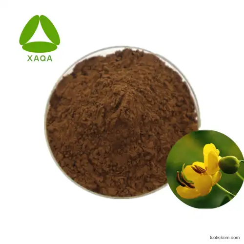 Full-size Cassia Seed Extract Powder 10:1 20:1 30:1 50:1