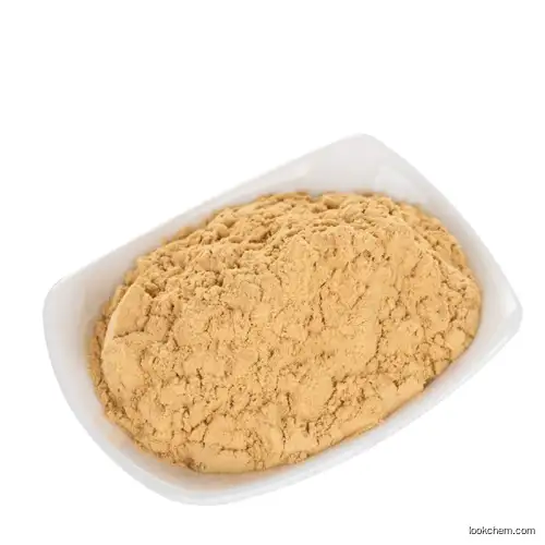 China products/suppliers. High Quality Ginseng Powder 100% Soluble in Water Panax Ginseng Extract