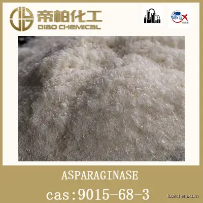 ASPARAGINASE /CAS ：9015-68-3/raw material/high-quality