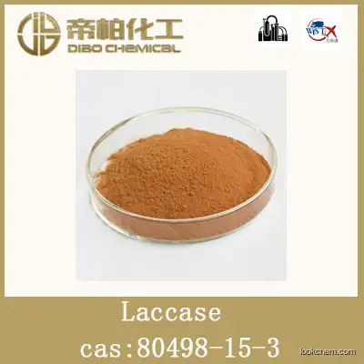 Laccase /CAS ：80498-15-3/raw material/high-quality