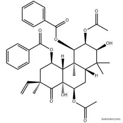 Myriceric acid B CAS 55497-79-5