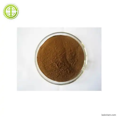 High purity 99% factory price Epimedium P.E. Epimedium leaf extract