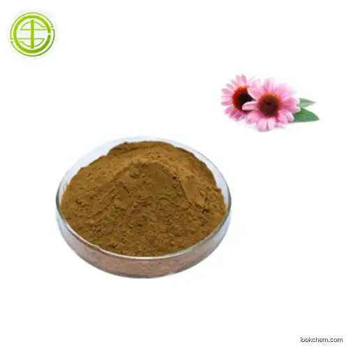 Whole Plant Echinacea Purpurea Extract Chicoric Acid 4%
