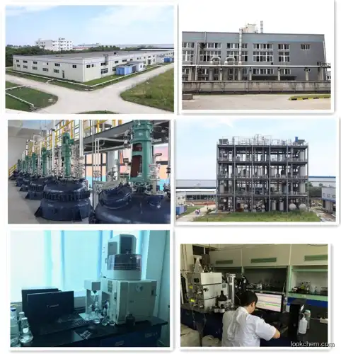 Factory supply Good Quality Pharmaceutical Raw Materials Isoflavone