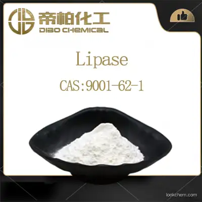 Lipase CAS：9001-62-1 Chinese manufacturers high-quality
