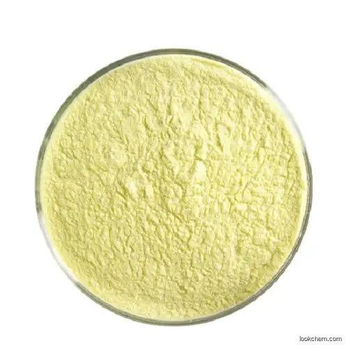 Sophora Japonica Extract Powder CAS 117-39-5 / 6151-25-3 Onion Extract Quercetin