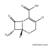 7-Amino-3-chloro cephalosporanic acid