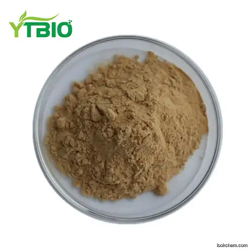 Food grade Ginkgo biloba extract powder